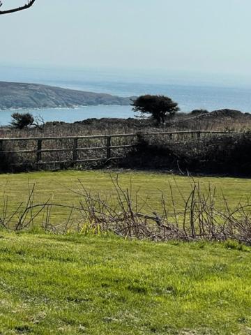 The Little Garden Hideaway With Stunning Sea Views And Garden Bed & Breakfast Holyhead Exterior foto