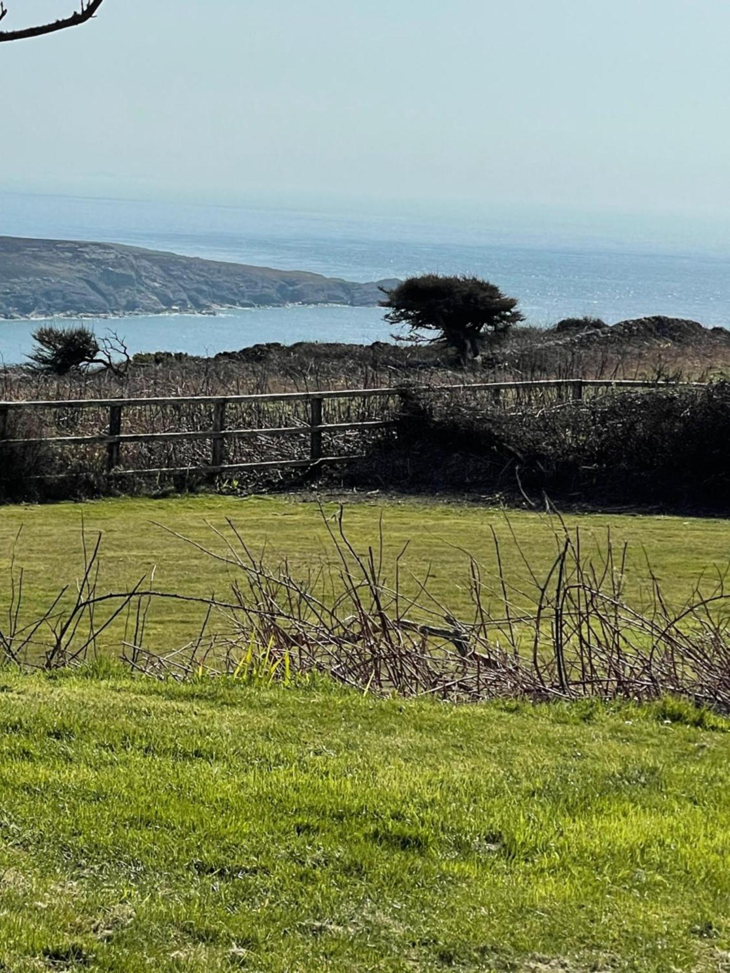 The Little Garden Hideaway With Stunning Sea Views And Garden Bed & Breakfast Holyhead Exterior foto